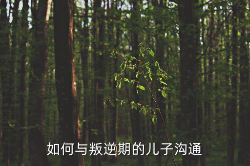 如何與叛逆期的兒子溝通