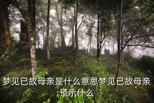 夢(mèng)見(jiàn)已故母親預(yù)示什么,夢(mèng)見(jiàn)已故母親預(yù)示著什么?