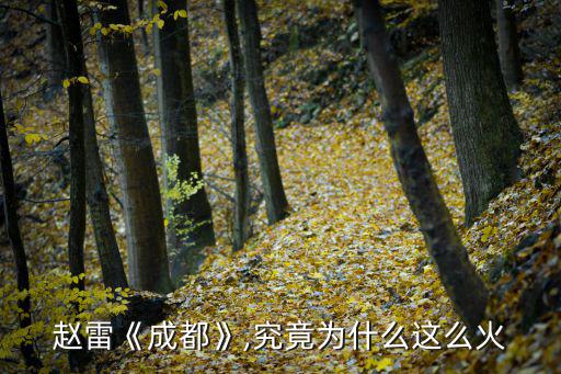 趙雷《成都》,究竟為什么這么火