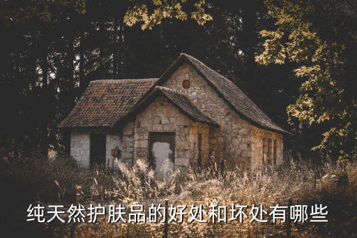 純天然護(hù)膚品的好處和壞處有哪些