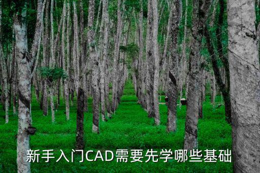 新手入門CAD需要先學哪些基礎