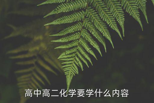 高中高二化學要學什么內容