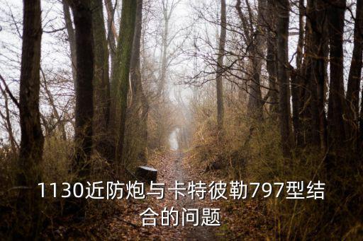 卡特彼勒797,國人買什么樣的防空武器?