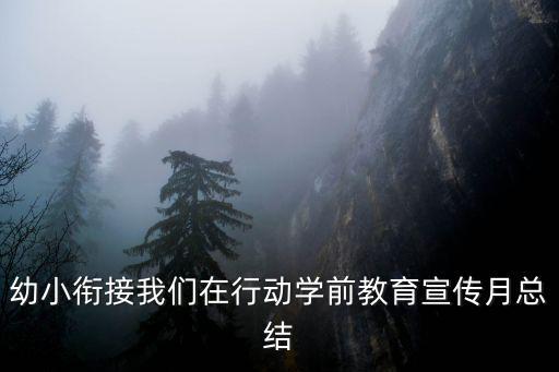 幼小銜接我們在行動學前教育宣傳月總結