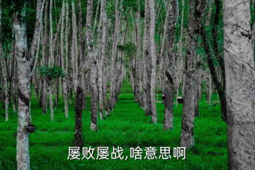 屢戰屢敗,屢敗屢戰的典故出處是誰?