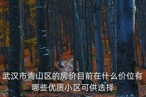 武漢市青山區(qū)的房價(jià)目前在什么價(jià)位有哪些優(yōu)質(zhì)小區(qū)可供選擇