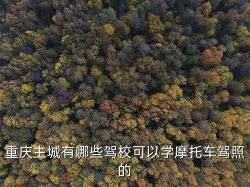 重慶主城有哪些駕校可以學摩托車駕照的