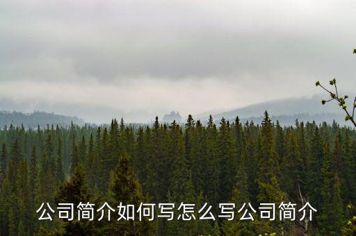 公司簡介如何寫怎么寫公司簡介