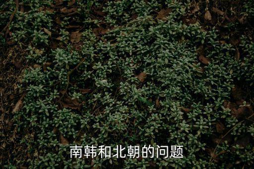 南韓北朝,韓國(guó)是大韓民國(guó)還是北朝鮮?