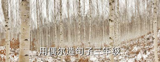 用偶爾造句子三年級