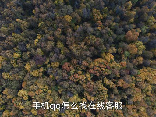 qq在線客服,手機客服怎么聯系?
