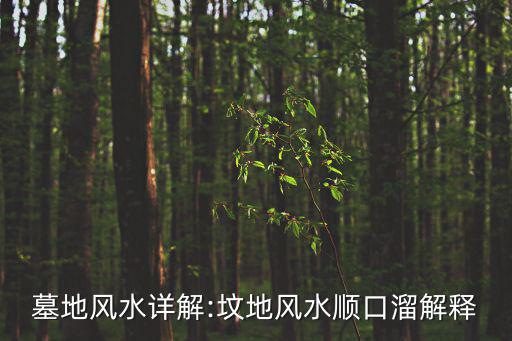 墳地風水順口溜,墓地風水順口溜解釋: