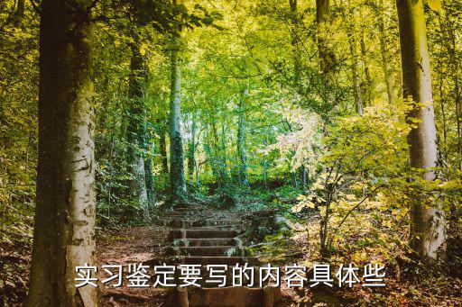 實(shí)習(xí)鑒定要寫的內(nèi)容具體些