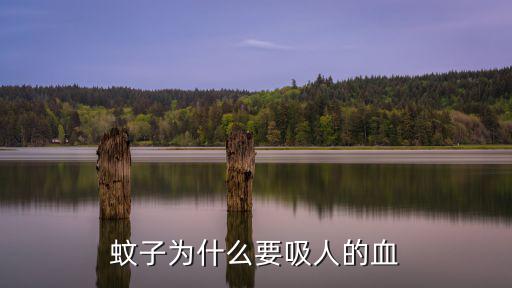 蚊子為什么要吸血,只有母蚊子才吸血吸取鮮血全是可惡蚊子