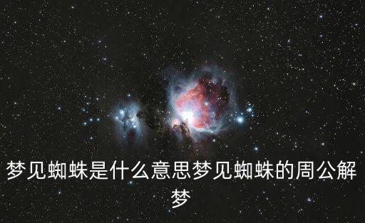 夢見蜘蛛是什么意思,周公解夢夢見蜘蛛意味著什么?