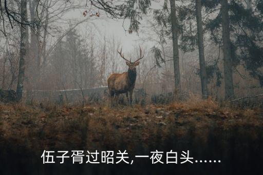 伍子胥一夜白頭,投大石自投瀨水而亡子胥過(guò)昭關(guān)一夜白頭