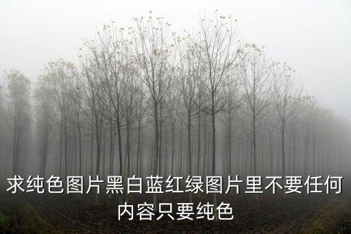 純藍(lán)色的圖片，求純色圖片黑白藍(lán)紅綠圖片里不要任何內(nèi)容只要純色