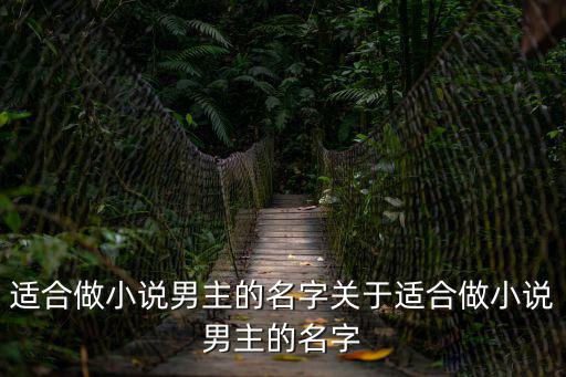 適合做小說男主的名字關于適合做小說男主的名字