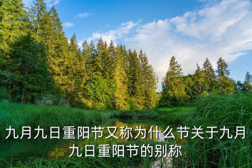 重陽(yáng)節(jié)別稱,九月九日重陽(yáng)節(jié)別稱:老人節(jié)、重陽(yáng)