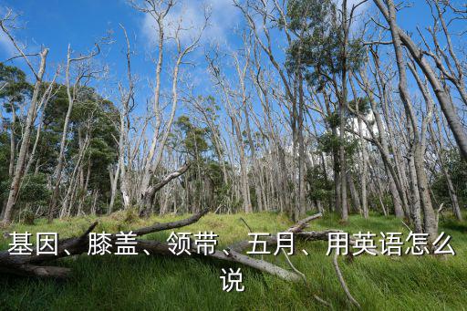 基因、膝蓋、領帶、五月、用英語怎么說