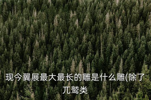 現今翼展最大最長的雕是什么雕(除了兀鷲類