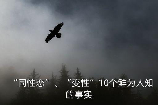 帥老同性教授,石墻運動被視為西方現(xiàn)代同性戀權(quán)利運動開始