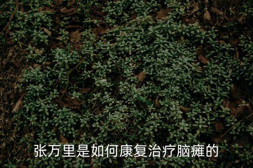 張萬里是如何康復治療腦癱的