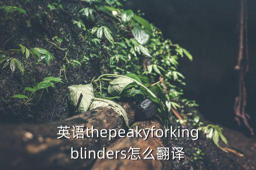 眼罩英文,英語怎么翻譯?高手進(jìn)全文翻譯