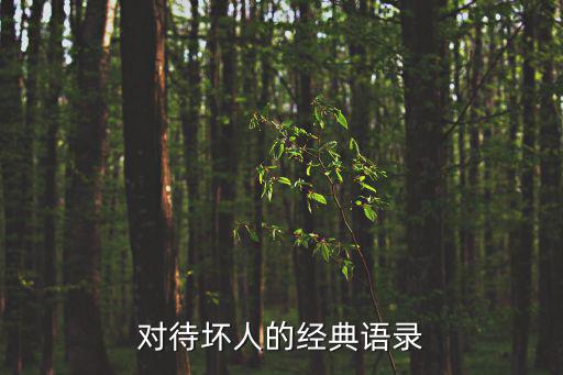對待壞人的經(jīng)典語錄