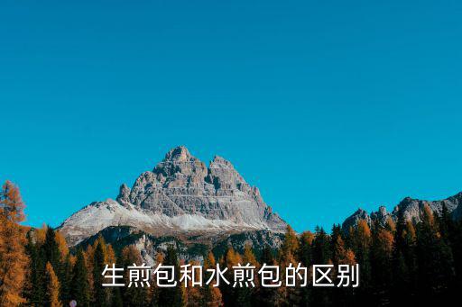 生煎包和水煎包的區別