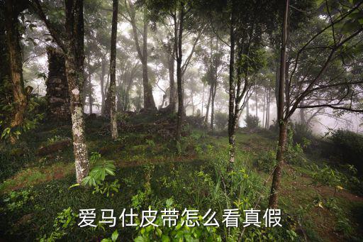 愛馬仕皮帶怎么看真假