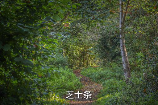 芝士面包片的做法,芝士雞蛋面包片怎么做?