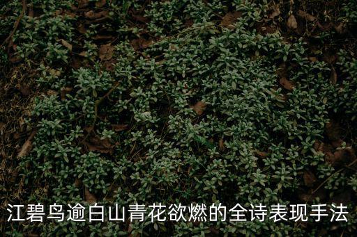 江碧鳥逾白山青花欲燃的全詩表現手法