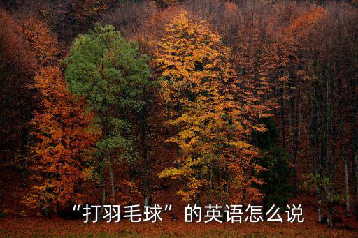 羽毛球英文怎么讀,打羽毛球是什么意思?