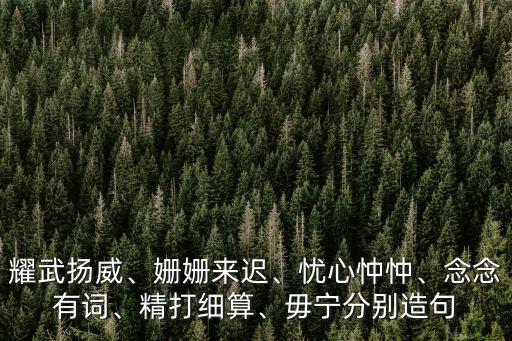 耀武揚威、姍姍來遲、憂心忡忡、念念有詞、精打細算、毋寧分別造句