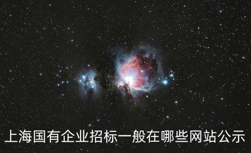 上海市政府官網(wǎng)上海發(fā)布，上海國(guó)有企業(yè)招標(biāo)一般在哪些網(wǎng)站公示