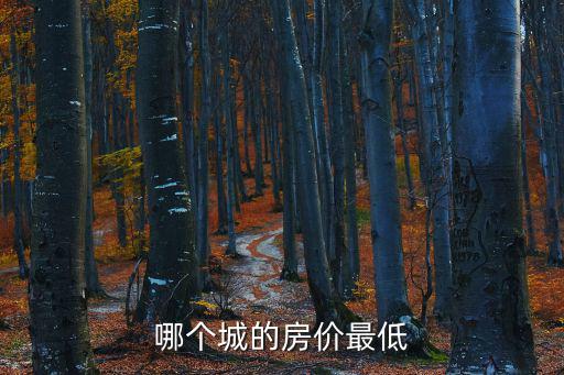 哪個(gè)城的房?jī)r(jià)最低