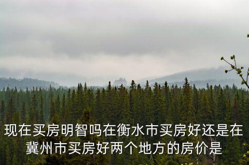 衡水哪個縣房價最值得投資，衡水武邑縣的房價最好首付和以后每月還多少都說一下一百平百度知