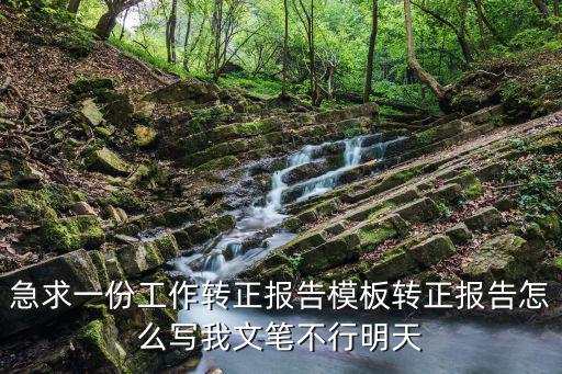 急求一份工作轉(zhuǎn)正報(bào)告模板轉(zhuǎn)正報(bào)告怎么寫(xiě)我文筆不行明天