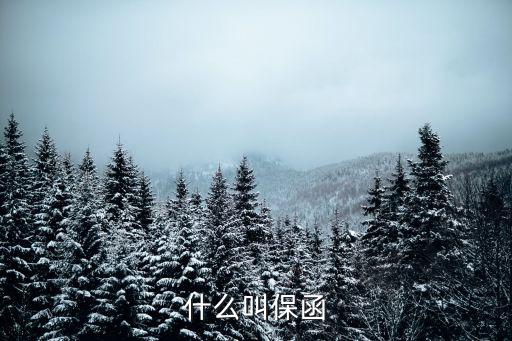 什么叫保函