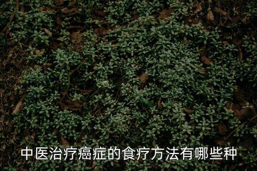 中醫治療癌癥,中醫治療癌癥的食療方法