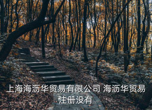 上海海瀝華貿易有限公司 海瀝華貿易注冊沒有