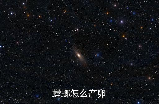 螳螂卵,正確方法保存好每個(gè)春天里的千多枚螳螂卵