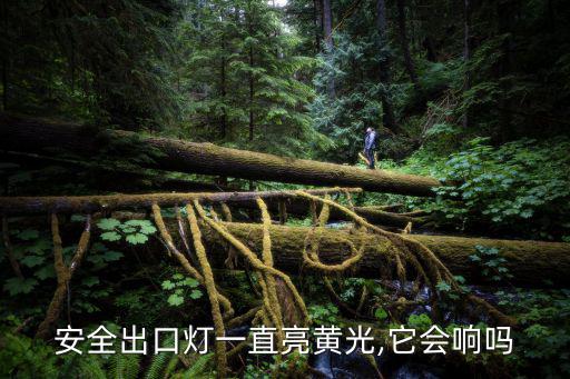 安全出口燈一直亮黃光,它會響嗎