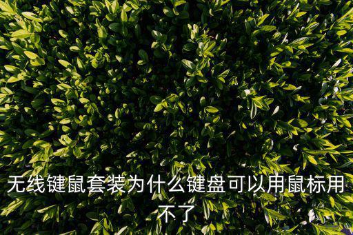 無線鍵鼠套裝為什么鍵盤可以用鼠標用不了