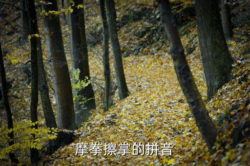 摩拳擦掌的拼音