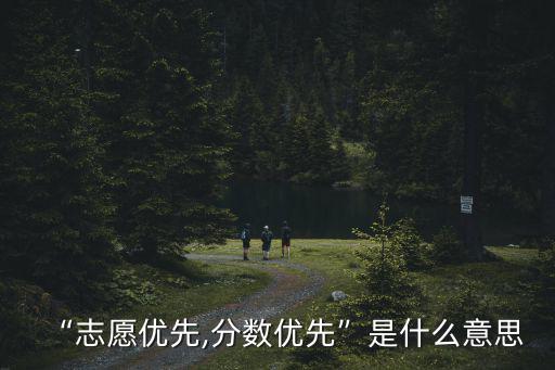 “志愿優先,分數優先”是什么意思
