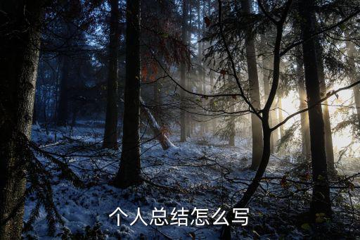 個(gè)人總結(jié)怎么寫