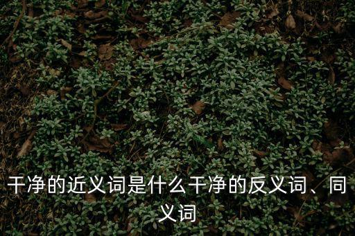 凈的近義詞,茅盾《子夜》十五:干凈的反義詞