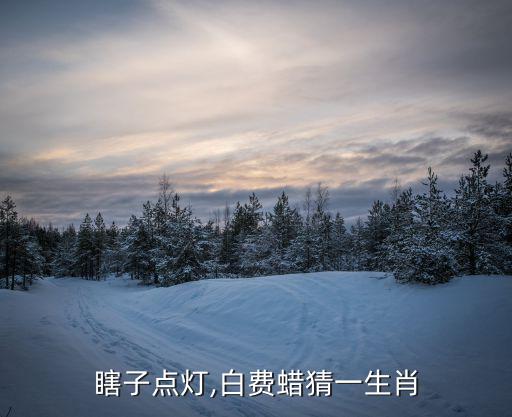 瞎子點燈,白費蠟猜一生肖